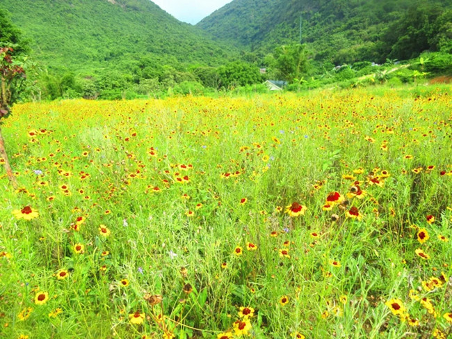 深圳農(nóng)家樂一日游強(qiáng)烈推薦老虎溝生態(tài)農(nóng)場(chǎng)
