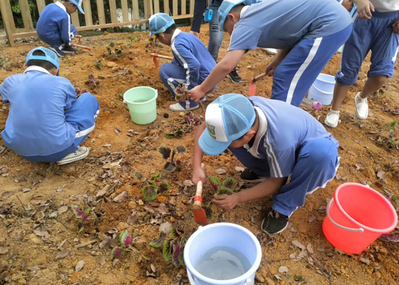 農家樂的采摘能夠啟蒙教育小孩的勞動觀念