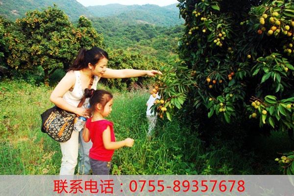 暑假親子活動(dòng)_深圳農(nóng)家樂深圳老虎溝生態(tài)農(nóng)場(chǎng)為何那麼火