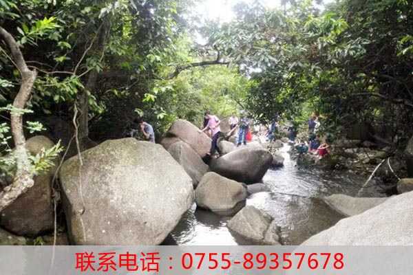 暑假去哪玩？深圳市老虎溝農(nóng)家樂野炊攻略大全