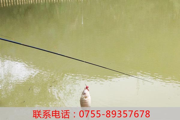 農家樂活動-拓展訓練的獨特之處在哪里